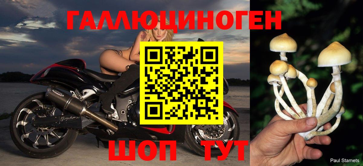 Псилоцибиновые грибы мицелий Керчь