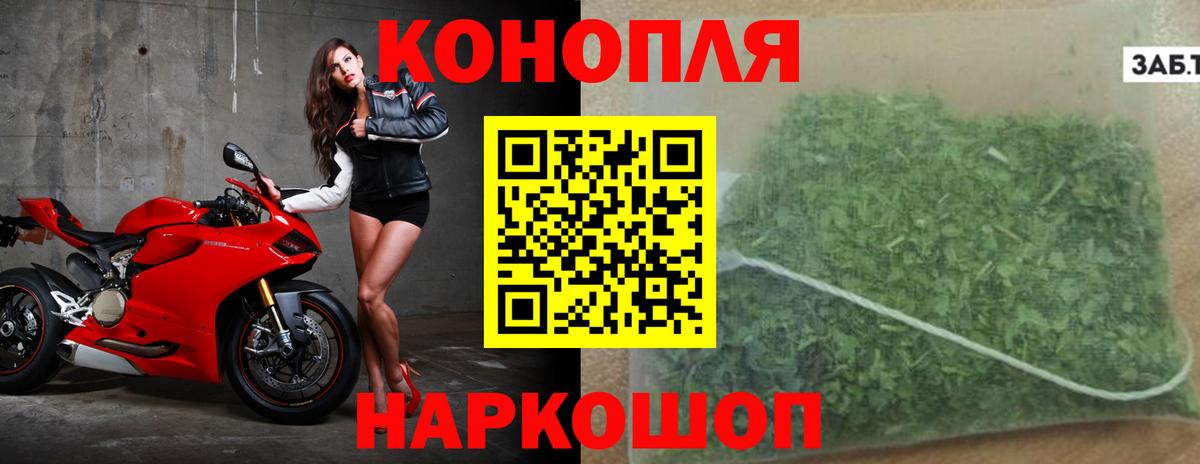 Бошки Шишки план Керчь